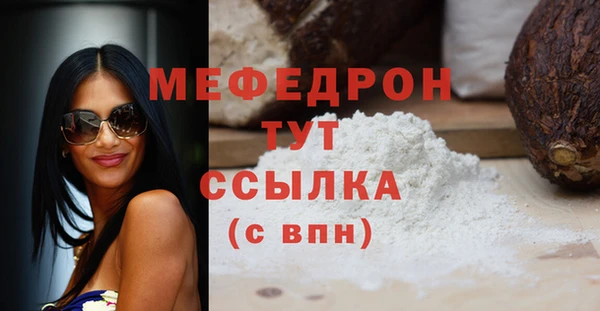 индика Рославль