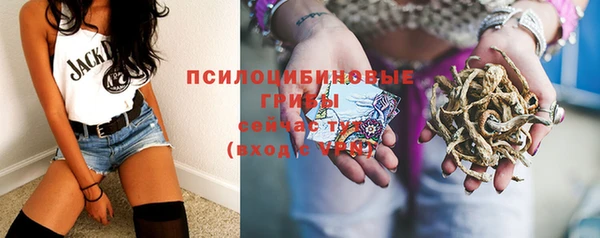 прущий лед Абаза